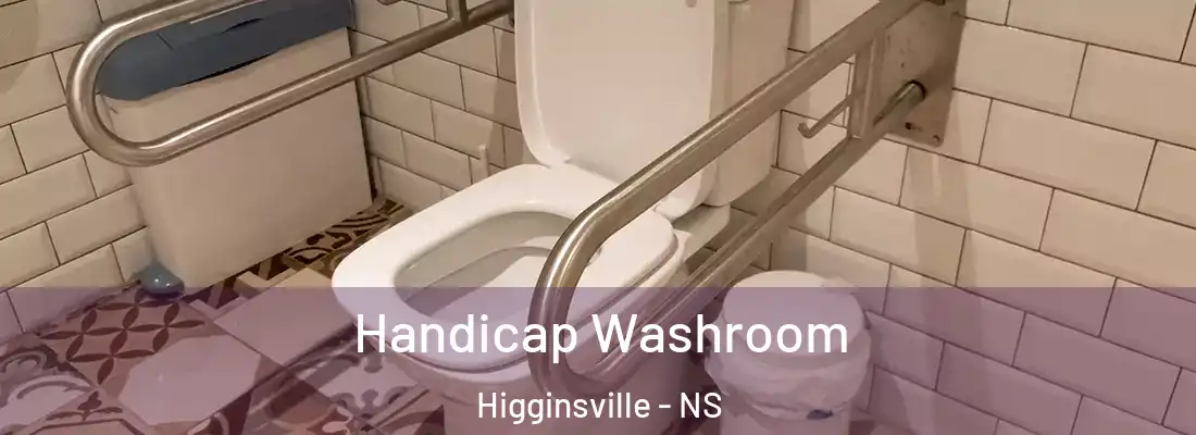 Handicap Washroom Higginsville - NS