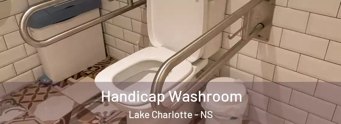 Handicap Washroom Lake Charlotte - NS