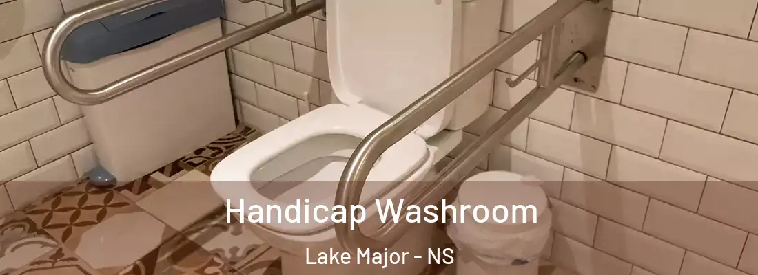 Handicap Washroom Lake Major - NS