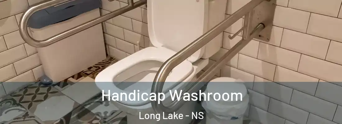 Handicap Washroom Long Lake - NS
