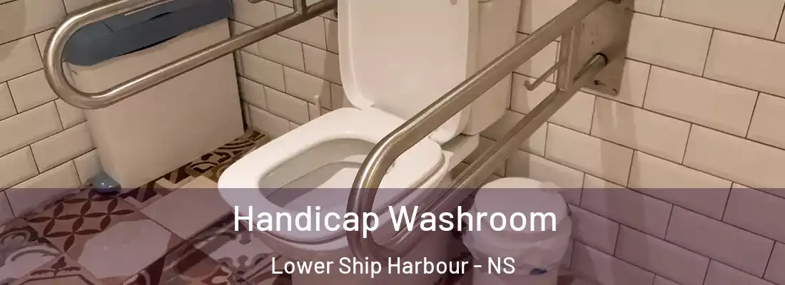 Handicap Washroom Lower Ship Harbour - NS