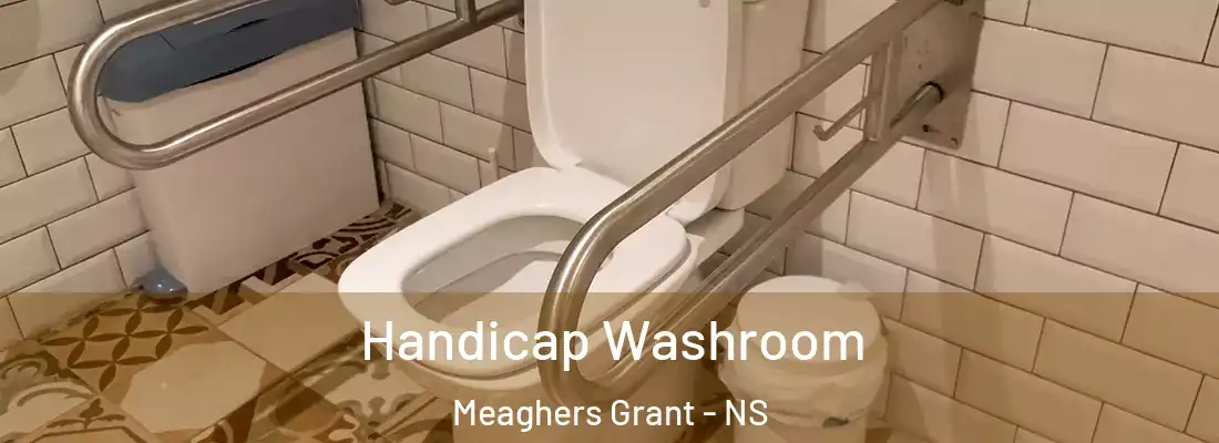 Handicap Washroom Meaghers Grant - NS