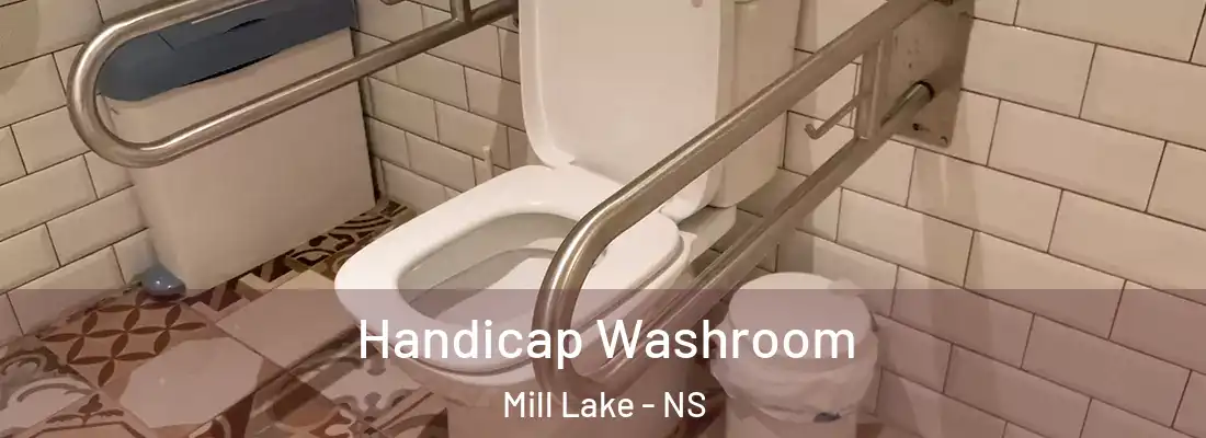 Handicap Washroom Mill Lake - NS