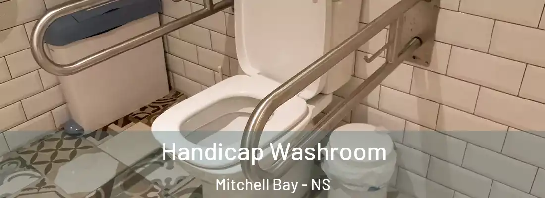 Handicap Washroom Mitchell Bay - NS