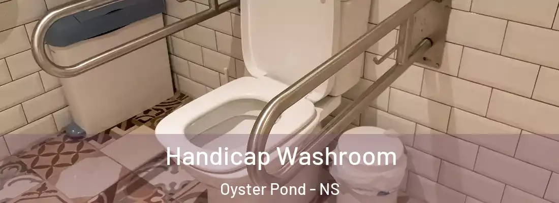 Handicap Washroom Oyster Pond - NS