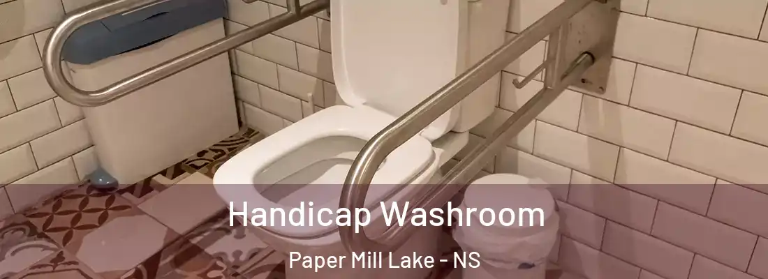 Handicap Washroom Paper Mill Lake - NS