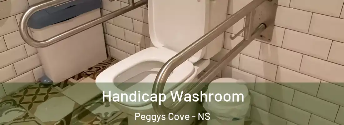Handicap Washroom Peggys Cove - NS