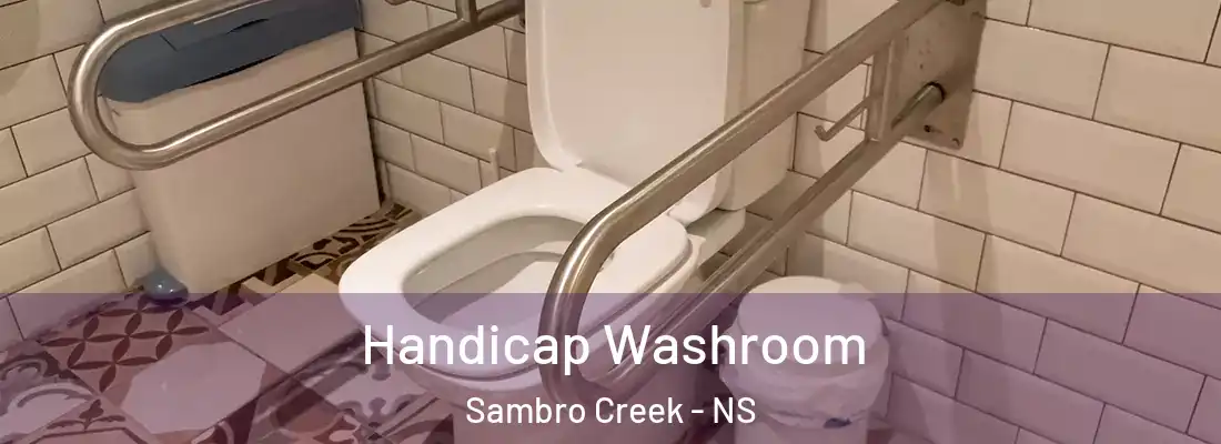 Handicap Washroom Sambro Creek - NS