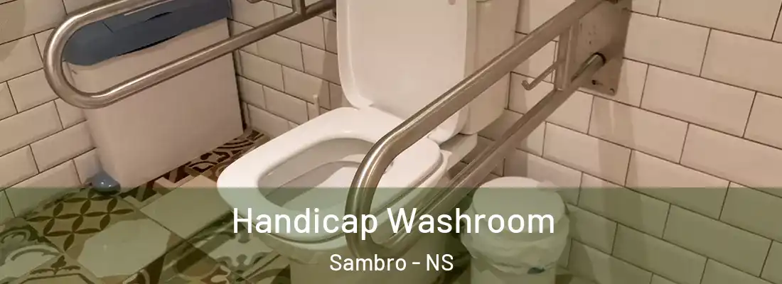 Handicap Washroom Sambro - NS