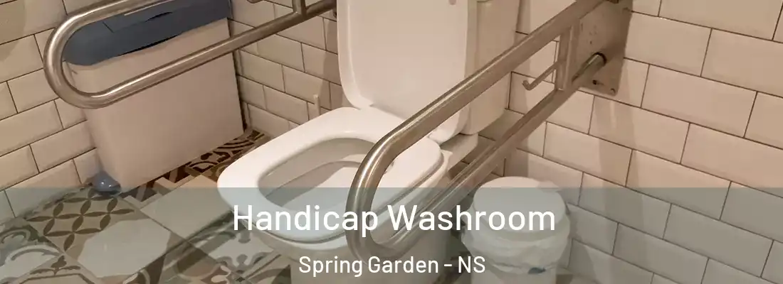 Handicap Washroom Spring Garden - NS