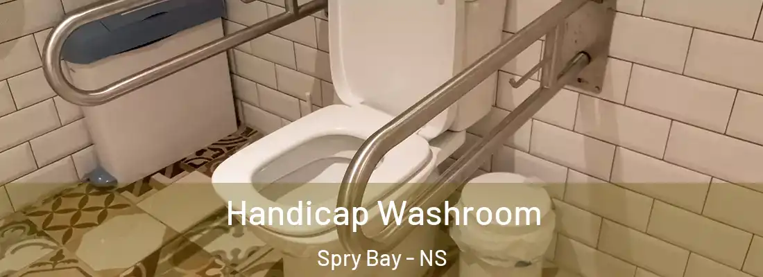 Handicap Washroom Spry Bay - NS