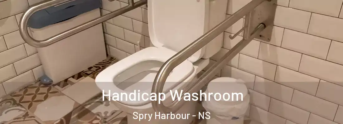 Handicap Washroom Spry Harbour - NS