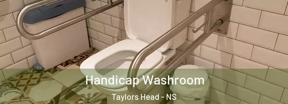  Handicap Washroom Taylors Head - NS