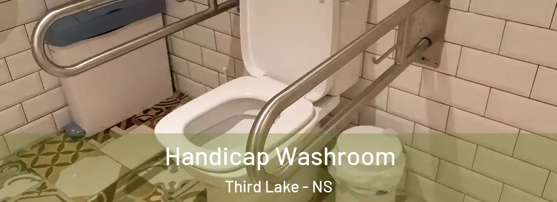 Handicap Washroom Third Lake - NS