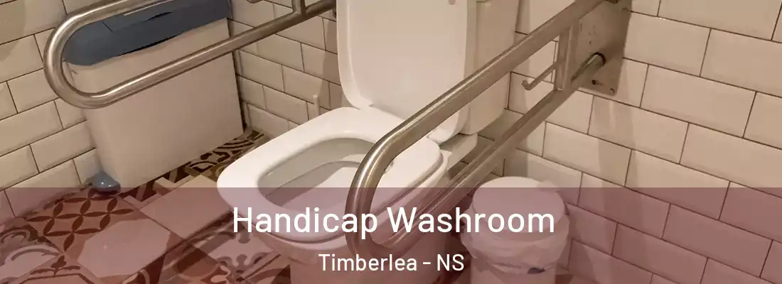  Handicap Washroom Timberlea - NS