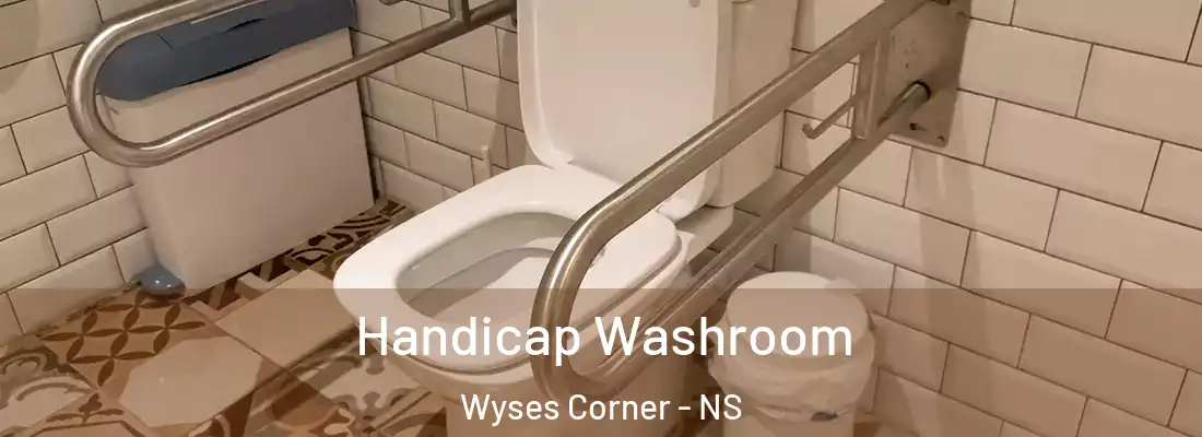Handicap Washroom Wyses Corner - NS