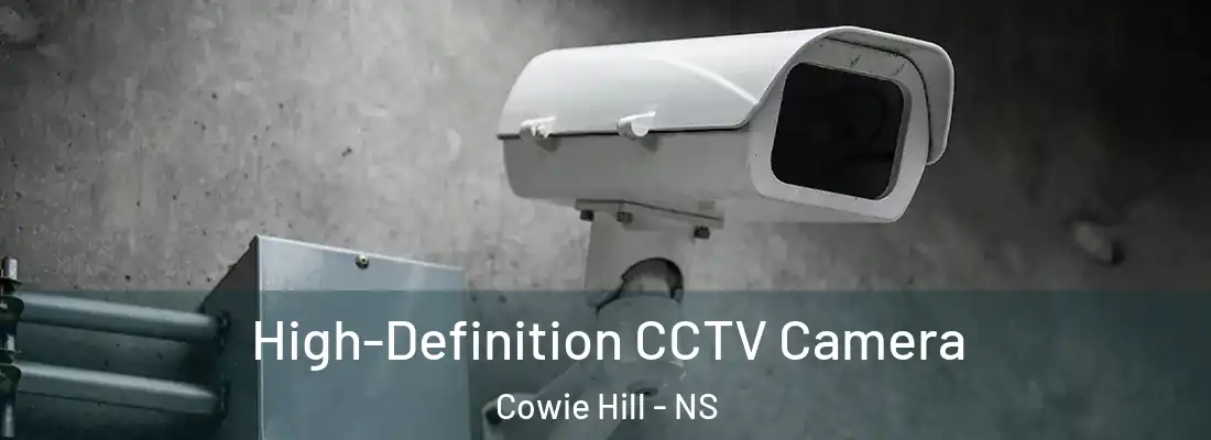 High-Definition CCTV Camera Cowie Hill - NS