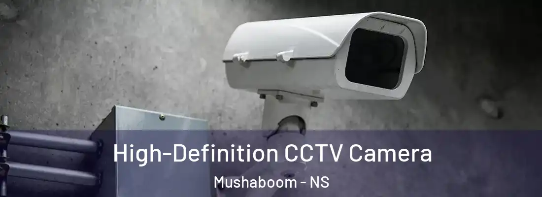 High-Definition CCTV Camera Mushaboom - NS
