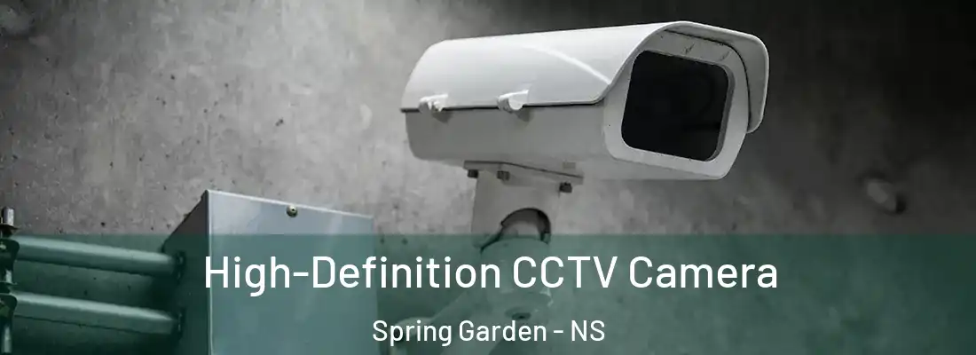 High-Definition CCTV Camera Spring Garden - NS