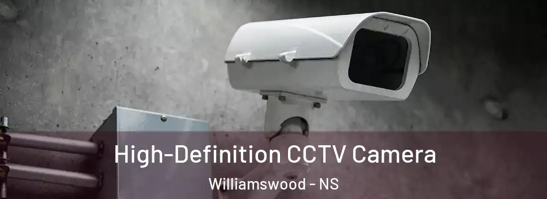High-Definition CCTV Camera Williamswood - NS