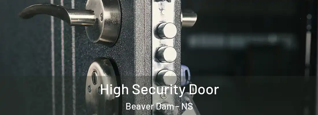 High Security Door Beaver Dam - NS