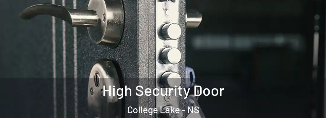  High Security Door College Lake - NS