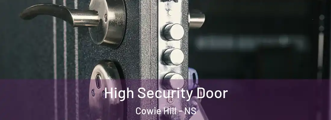 High Security Door Cowie Hill - NS