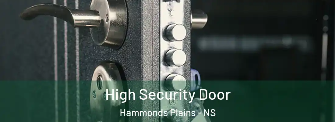 High Security Door Hammonds Plains - NS