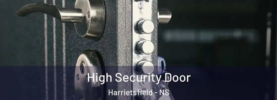  High Security Door Harrietsfield - NS