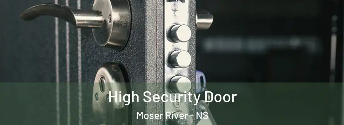 High Security Door Moser River - NS
