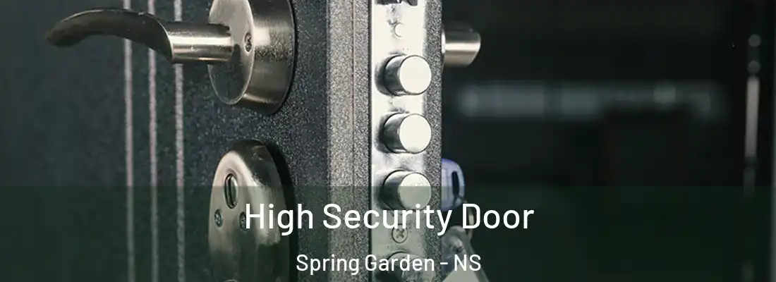 High Security Door Spring Garden - NS