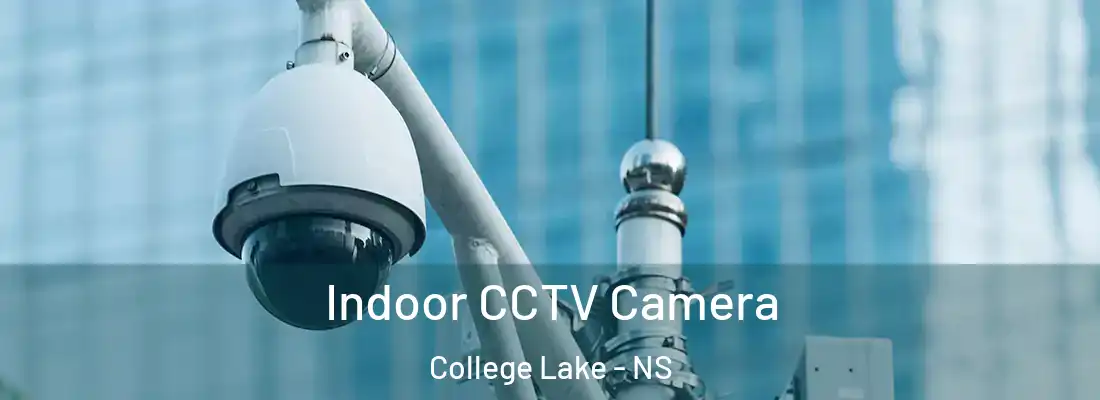 Indoor CCTV Camera College Lake - NS