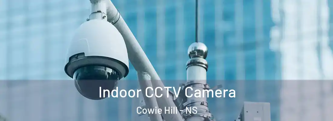Indoor CCTV Camera Cowie Hill - NS