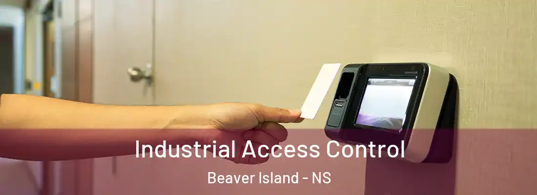 Industrial Access Control Beaver Island - NS