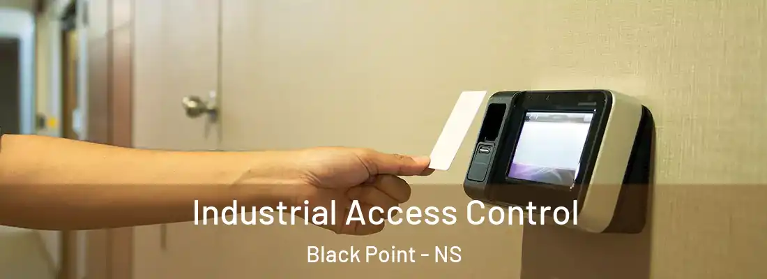 Industrial Access Control Black Point - NS