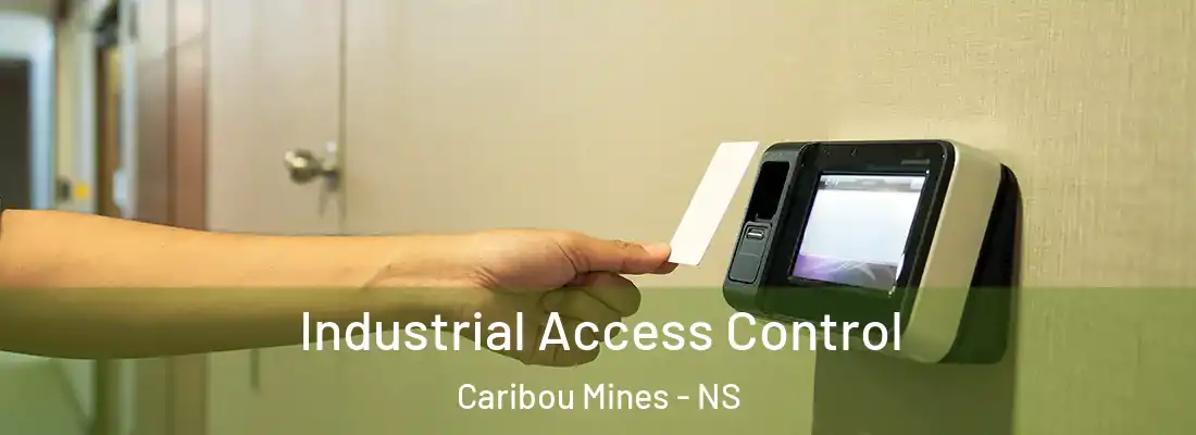 Industrial Access Control Caribou Mines - NS