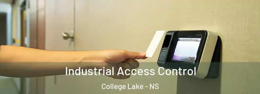 Industrial Access Control College Lake - NS
