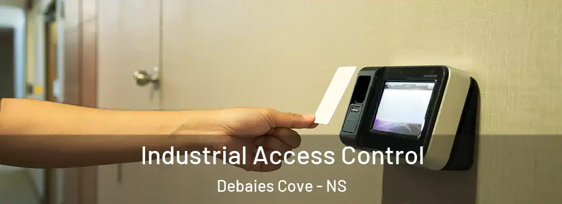 Industrial Access Control Debaies Cove - NS