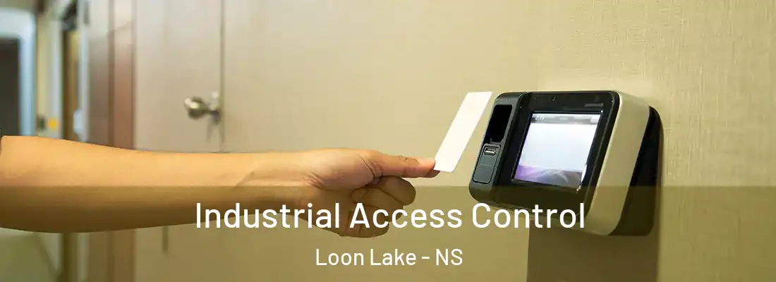 Industrial Access Control Loon Lake - NS