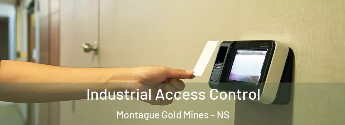 Industrial Access Control Montague Gold Mines - NS