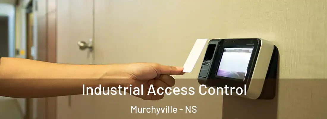 Industrial Access Control Murchyville - NS