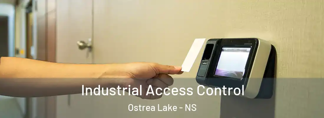 Industrial Access Control Ostrea Lake - NS