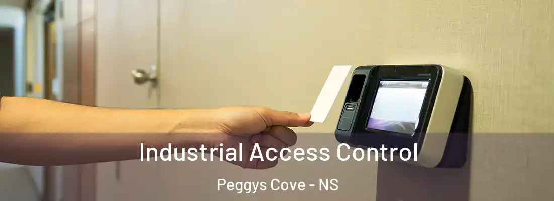 Industrial Access Control Peggys Cove - NS