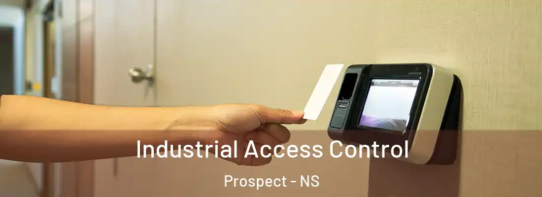 Industrial Access Control Prospect - NS