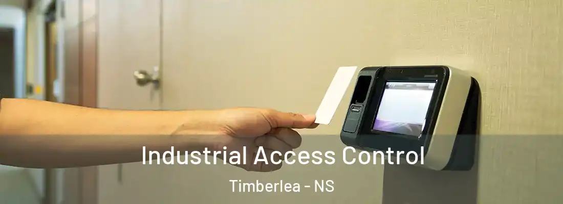 Industrial Access Control Timberlea - NS