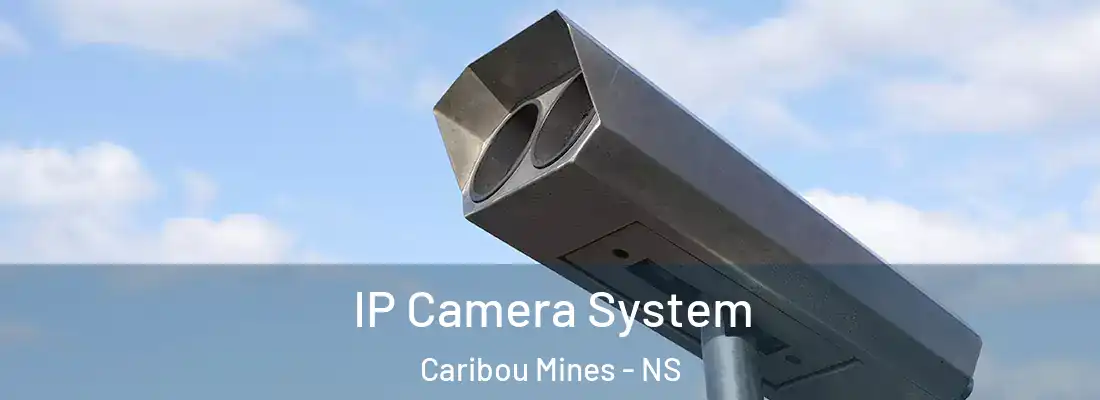 IP Camera System Caribou Mines - NS