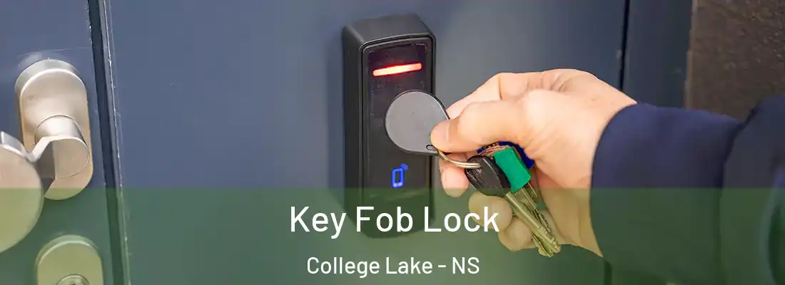 Key Fob Lock College Lake - NS