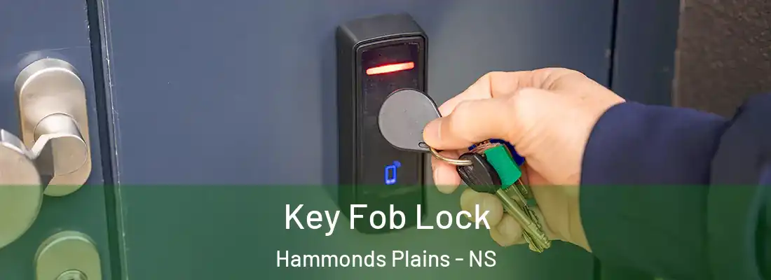  Key Fob Lock Hammonds Plains - NS