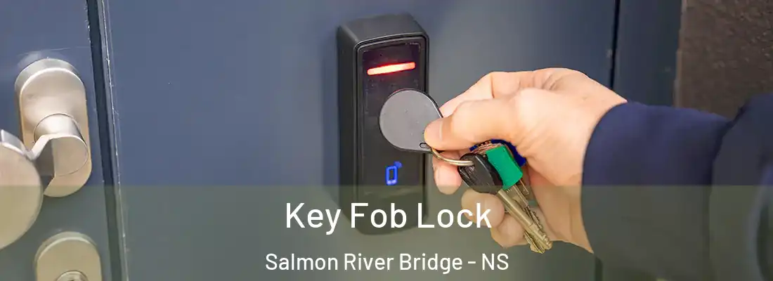 Key Fob Lock Salmon River Bridge - NS