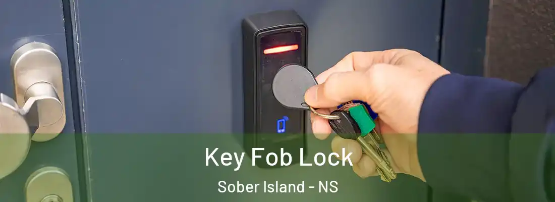  Key Fob Lock Sober Island - NS